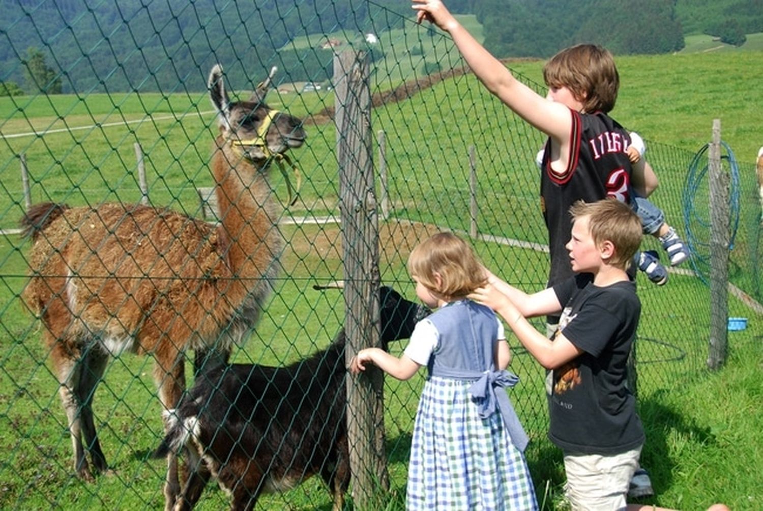 Kinderbauernhof 23 ID26148 Size650px