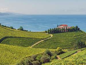 Weinreise Nordspanien