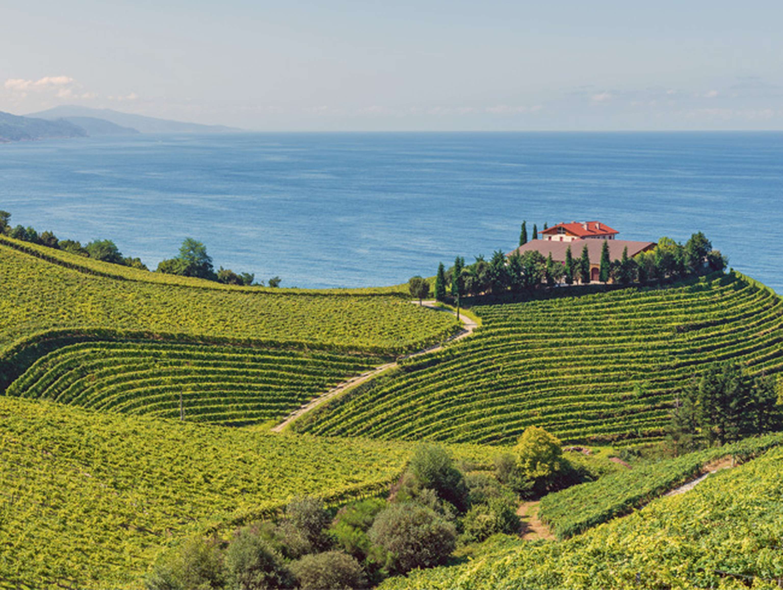 Weinreise Nordspanien