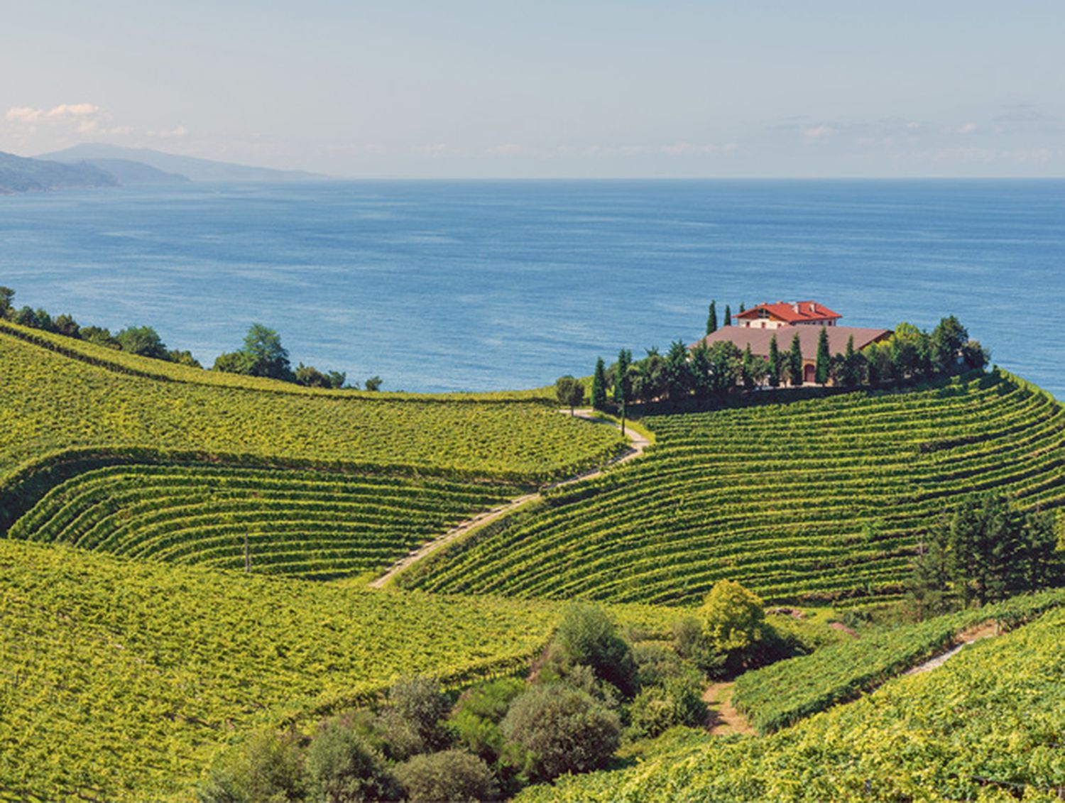 Leser-Weinreise-Nordspanien_650x490.jpg