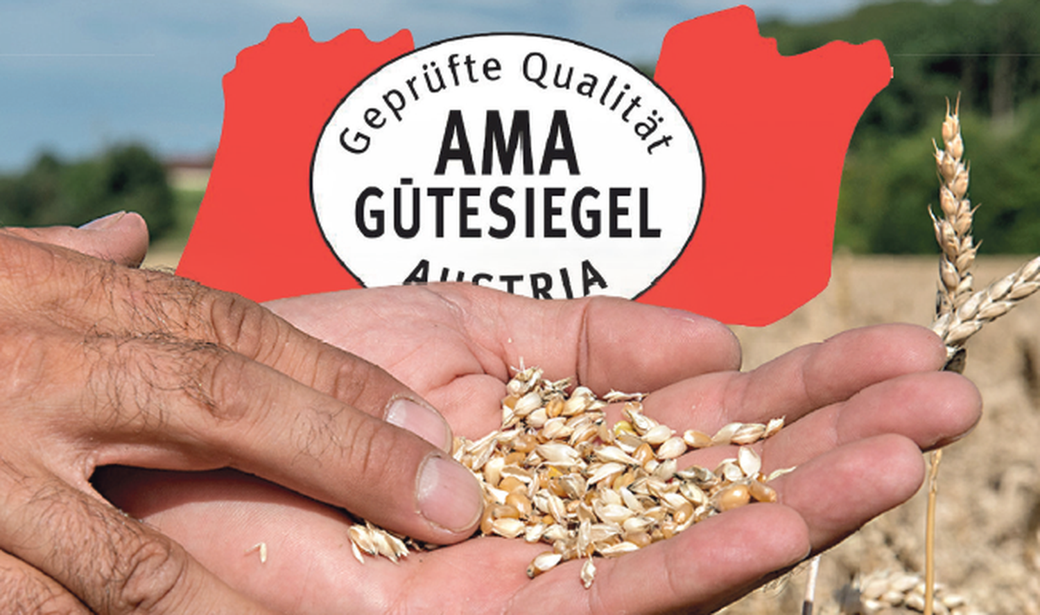 Die Anmeldung zum AMA-Gütesiegel macht für Ackerbauern Sinn, so LKOÖ-Präsident Waldenberger.