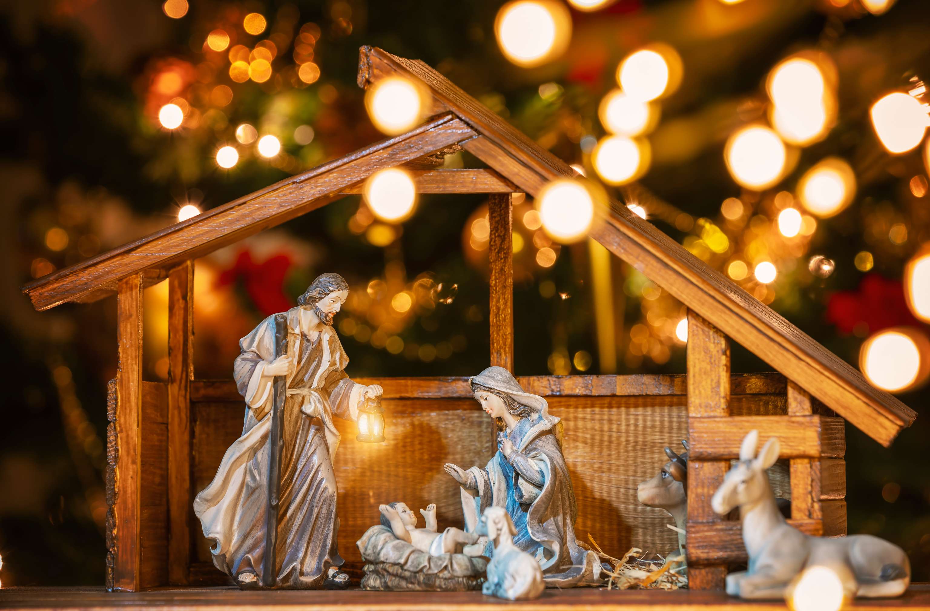 Krippe Weihnachten