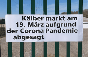 Kaelber