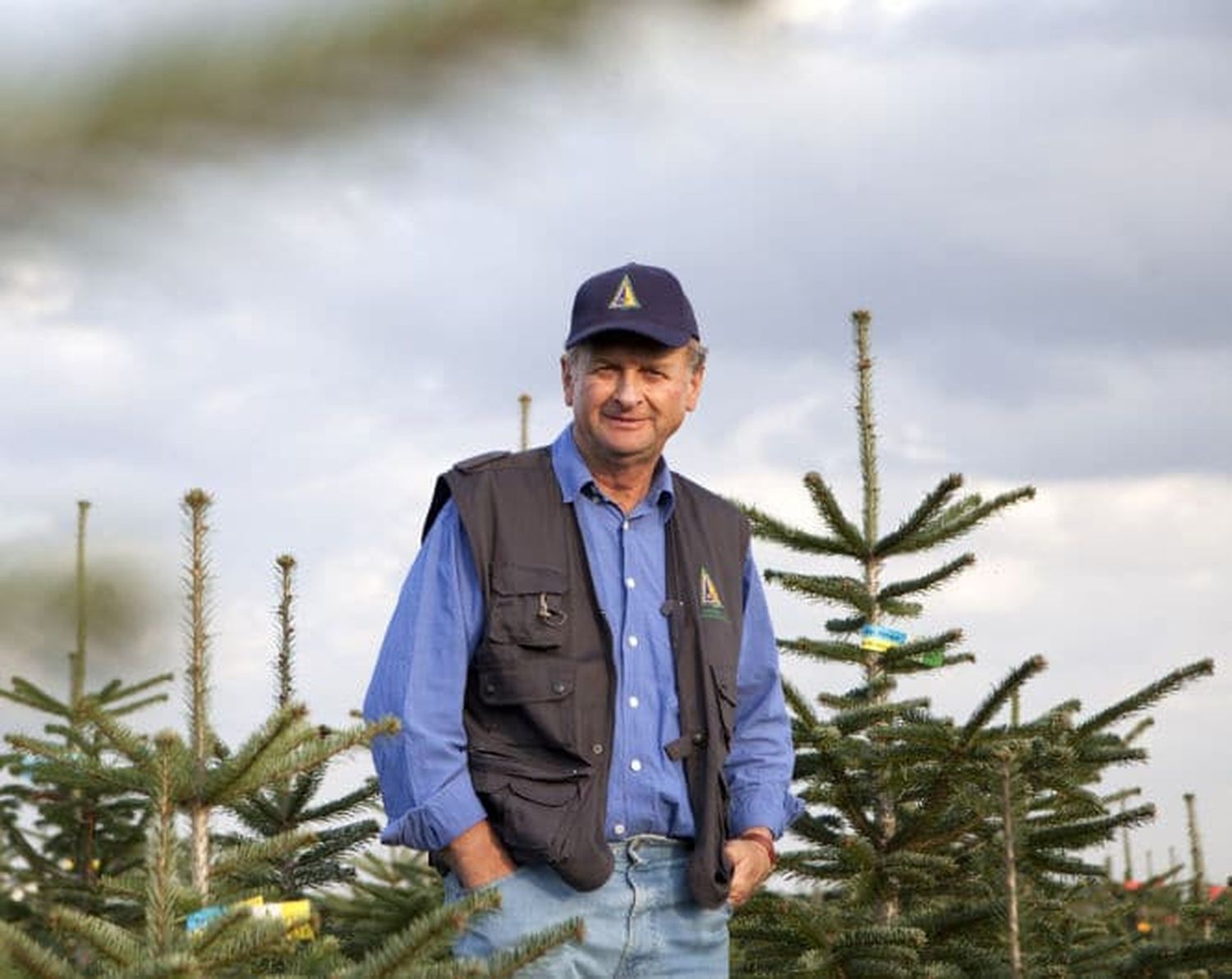 Franz Raith ist Obmann der NÖ Christbaumbauern, die etwa die Hälfte des heimischen Baumbedarfs bereitstellen.