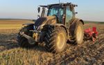 Schick in der Abendsonne