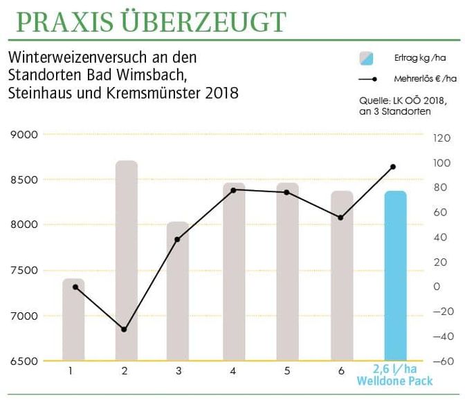 grafik4.jpg