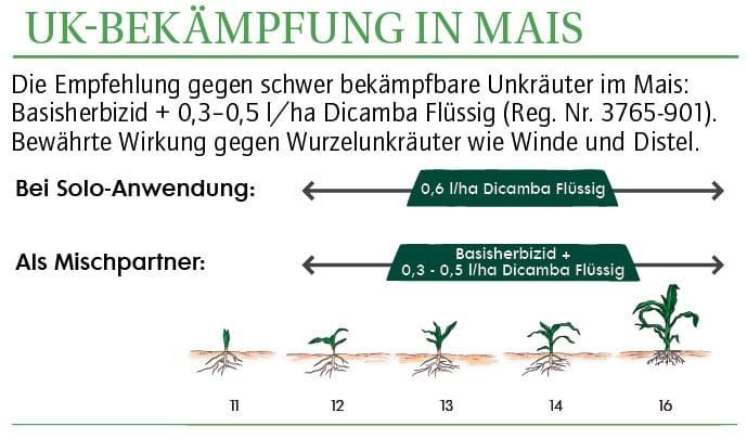 grafik3.jpg