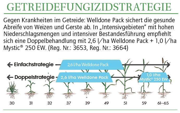 grafik2.jpg