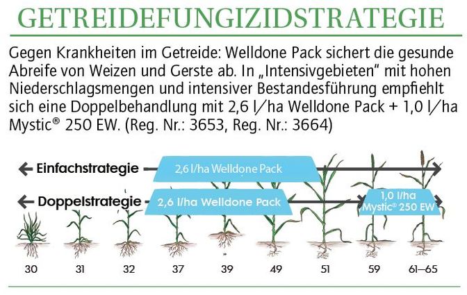 grafik2.jpg