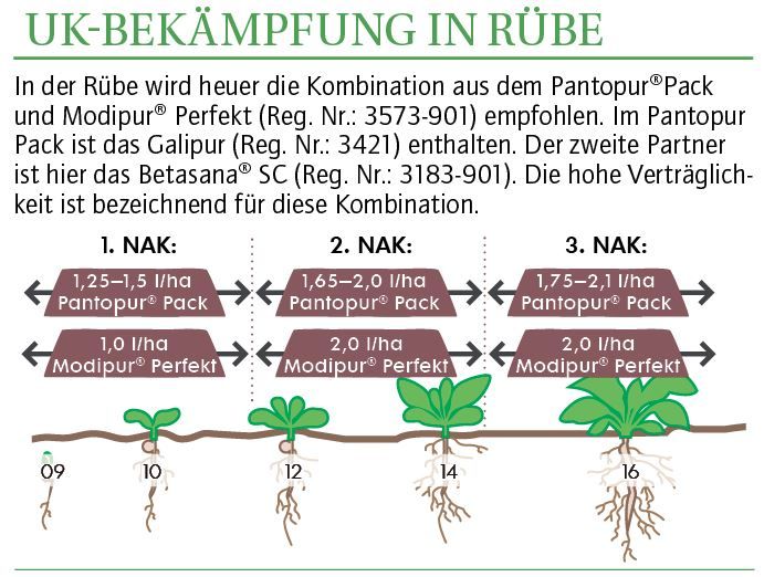 grafik1.jpg