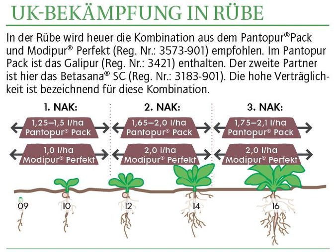 grafik1.jpg