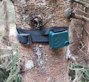 Rekorder für akustisches Monitoring im Nationalpark Kalkalpen