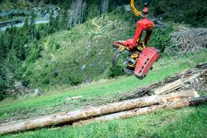 Roter Forstgreifer eines Krans greift nach gefällten Baumstämmen an einem bewaldeten Berghang mit grüner Wiese.