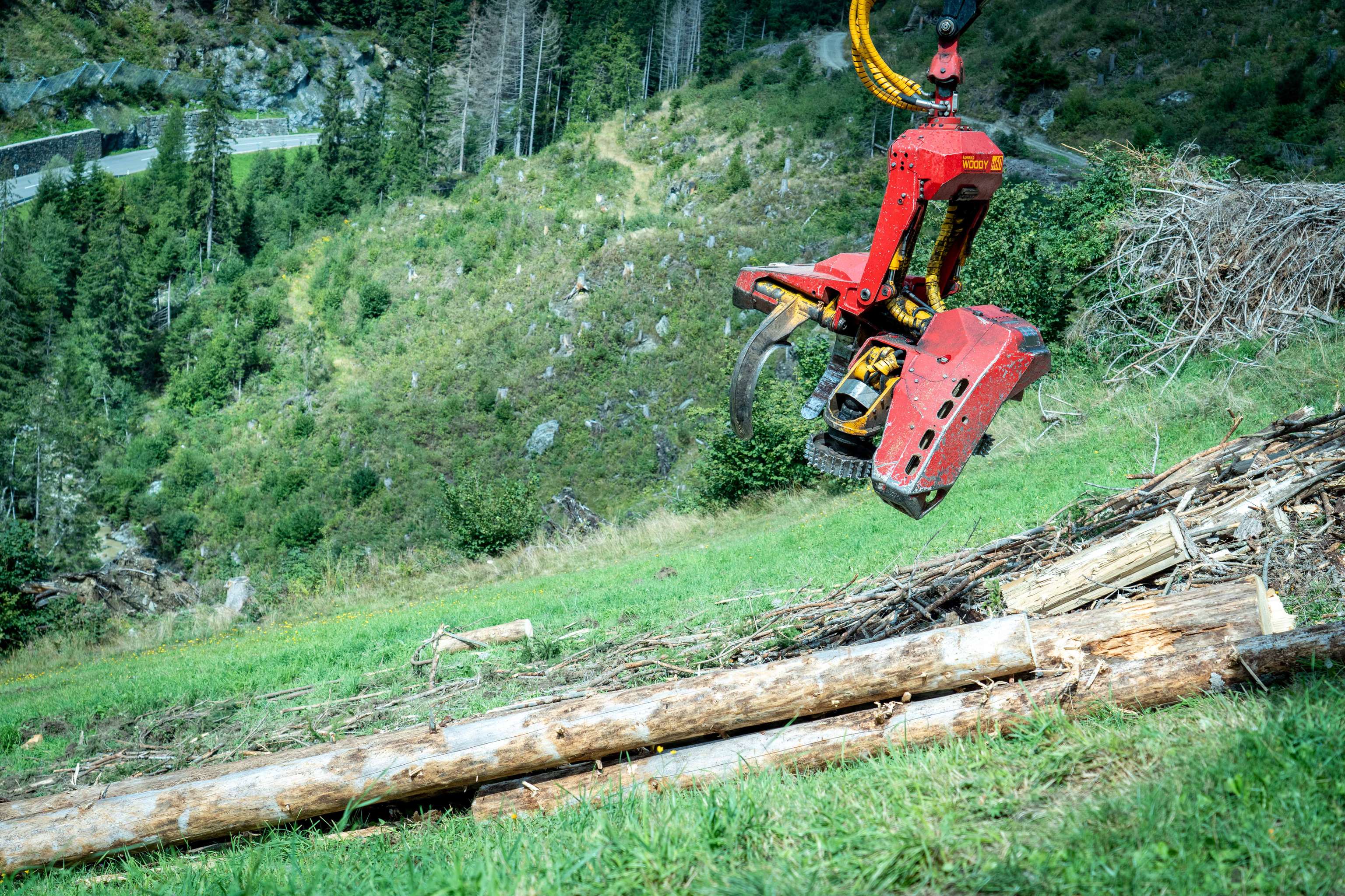 Roter Forstgreifer eines Krans greift nach gefällten Baumstämmen an einem bewaldeten Berghang mit grüner Wiese.