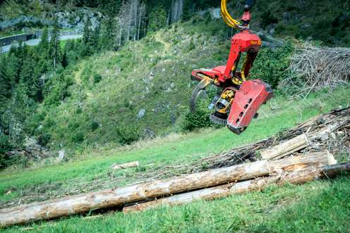 Roter Forstgreifer eines Krans greift nach gefällten Baumstämmen an einem bewaldeten Berghang mit grüner Wiese.