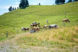 Aplwanderung 2026