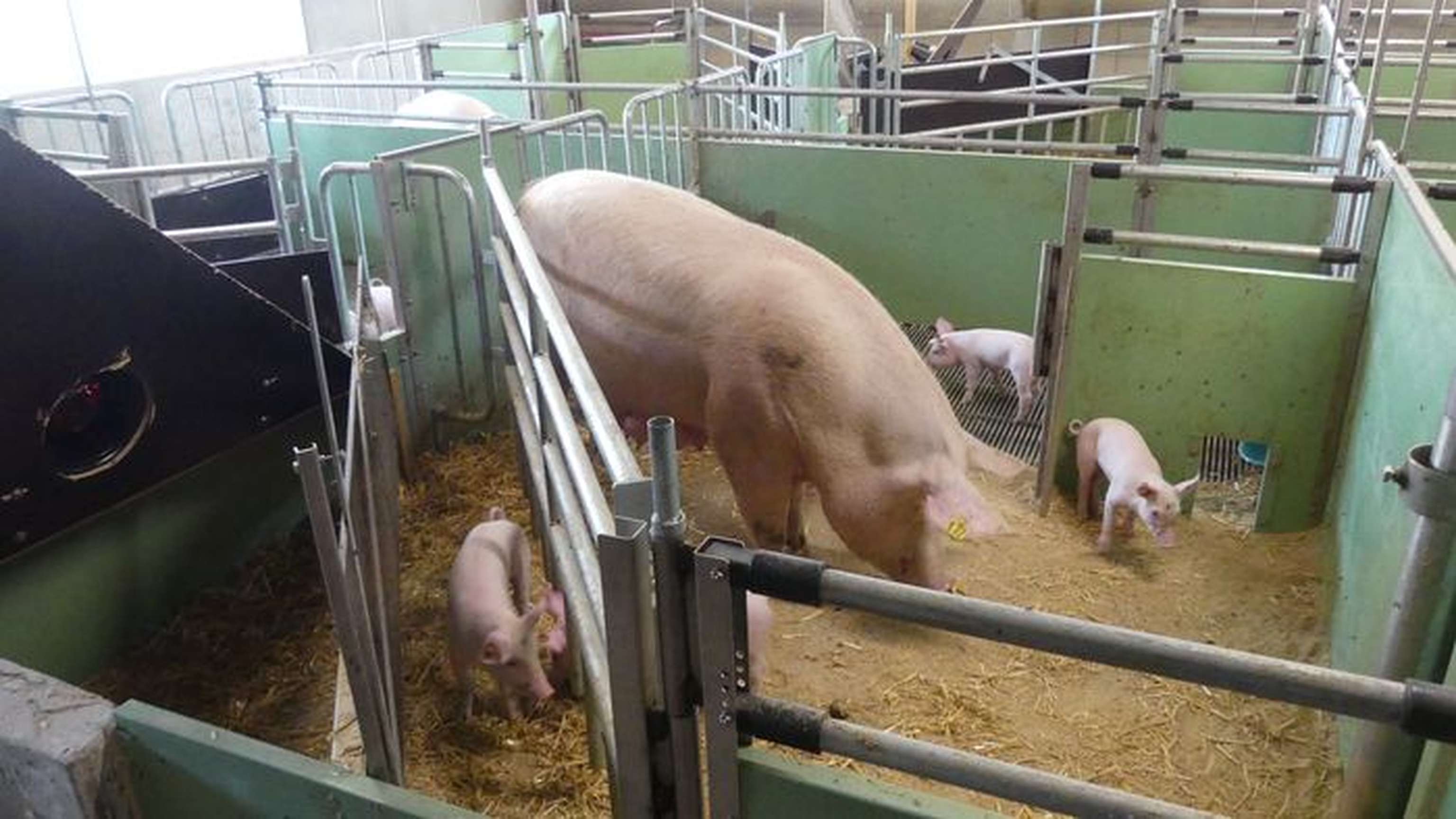 03 W KW Buchtenuebersicht