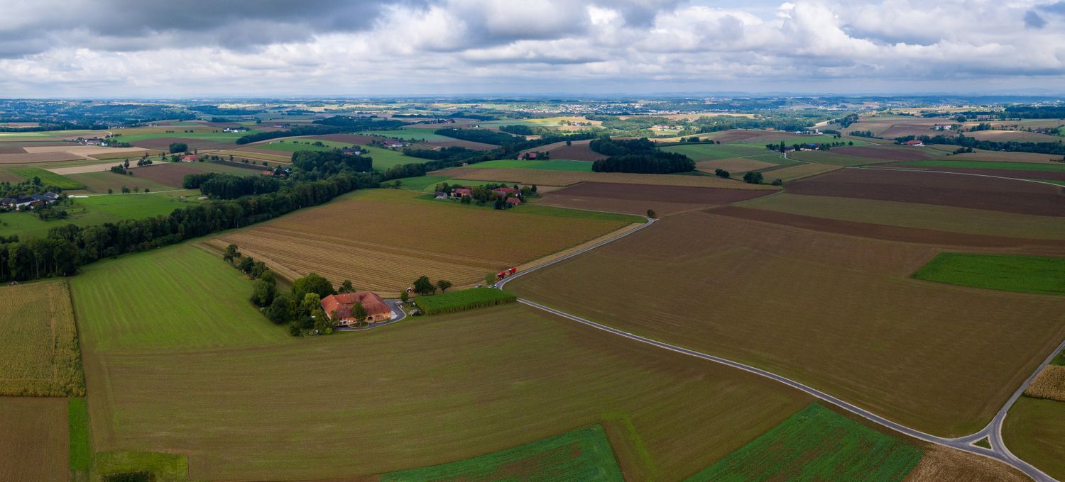 Schiedlberg Landschaft 1 ID88505