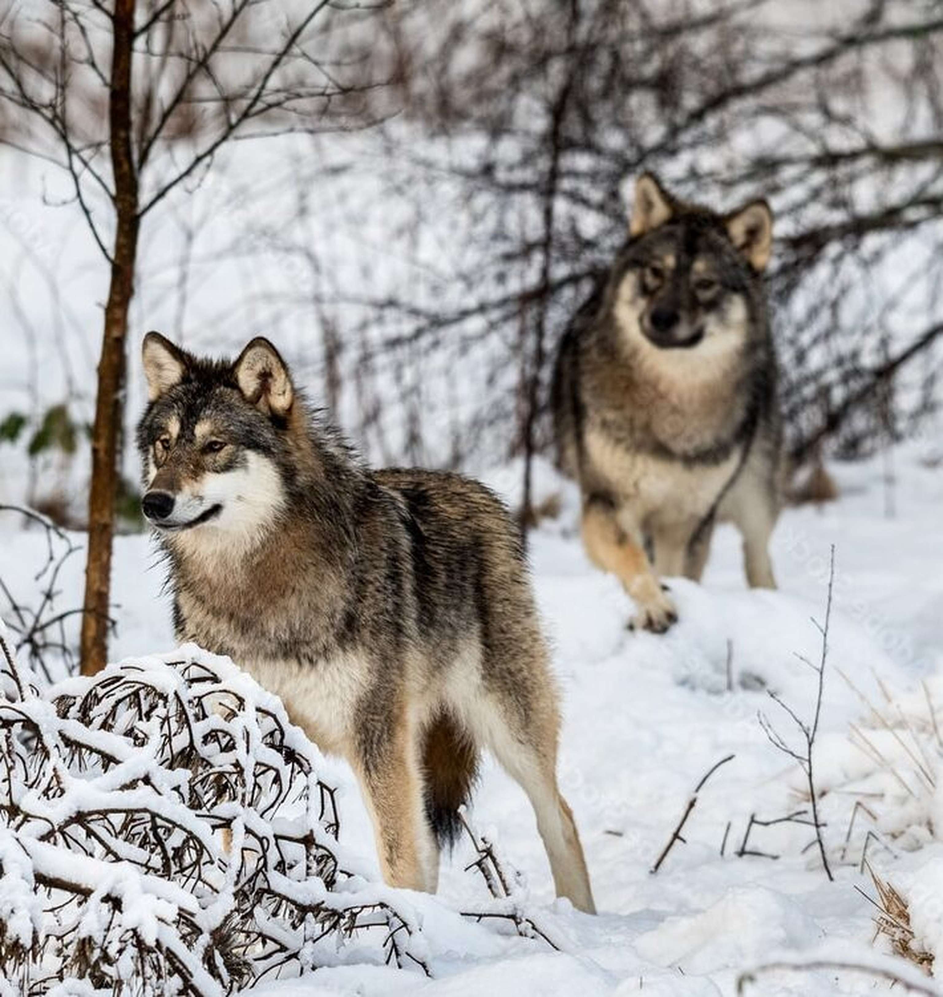 AdobeStock 188580013 Preview