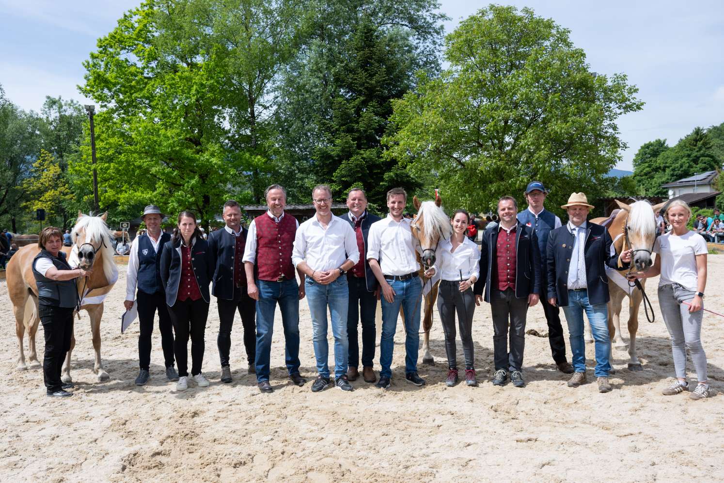 Haflinger Vorarlberg