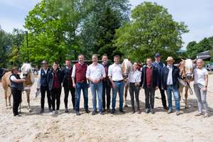 Haflinger Vorarlberg