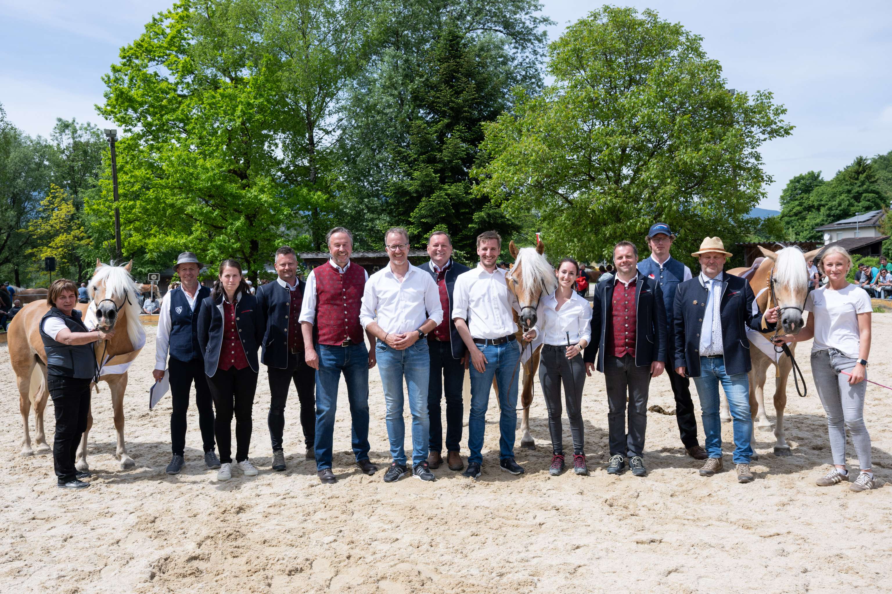 Haflinger Vorarlberg