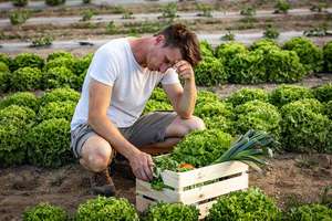 Belastung in der Landwirtschaft