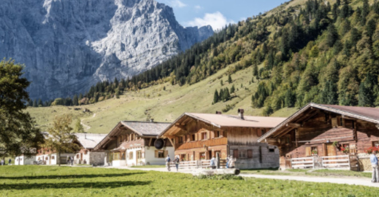 Bild von Anzeige: Almanteil zu verpachten 