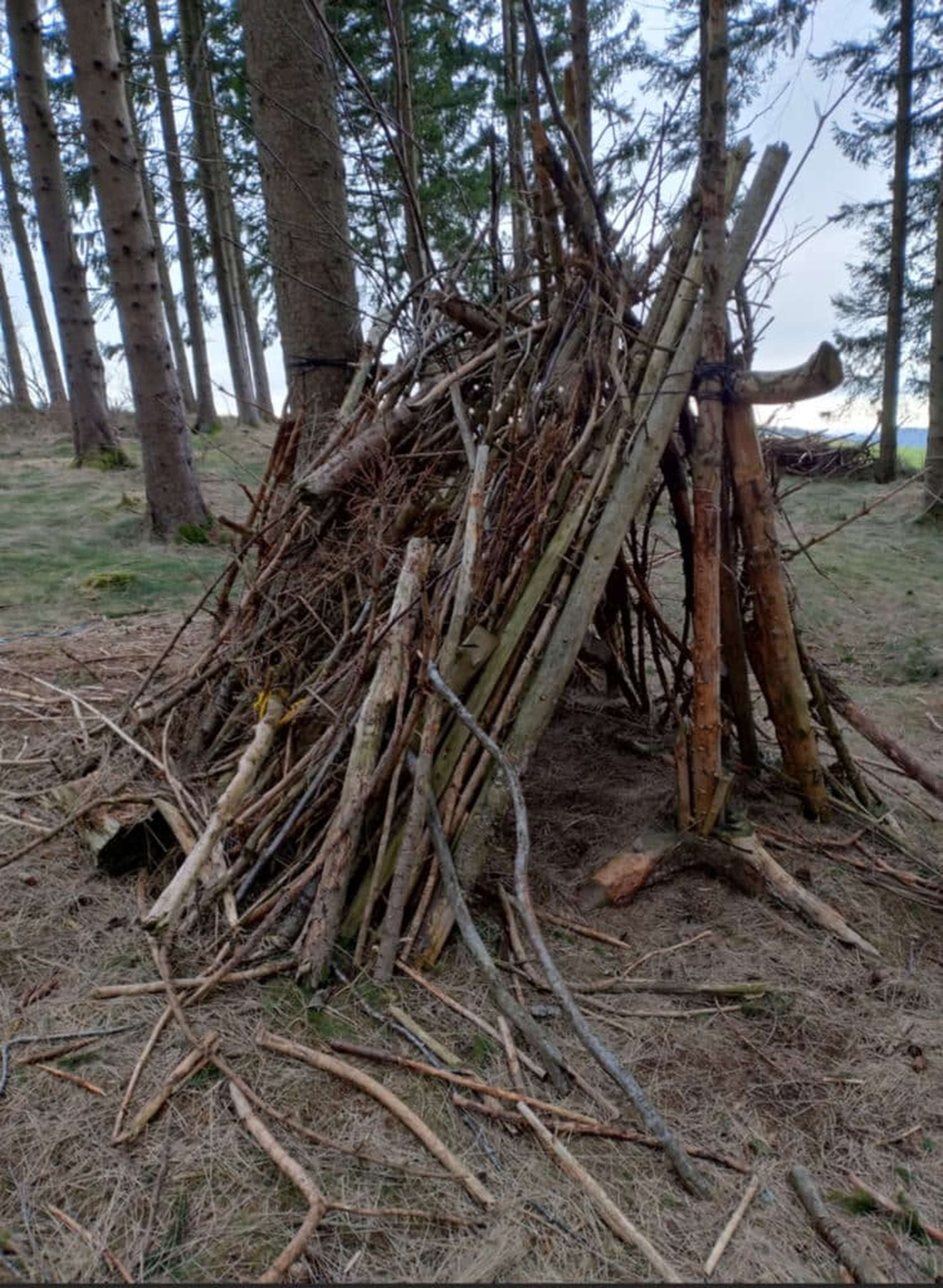 Äste sind ein beliebtes Spielzeug.