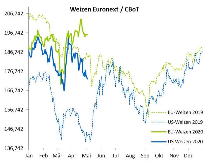 2019 06 Weizen