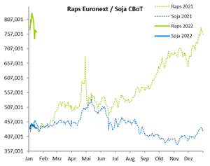 2203 01 Raps1