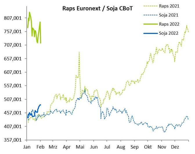 2205 01 Raps