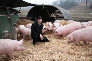 Johann Diwold sitzt bei den Ackerschweinen