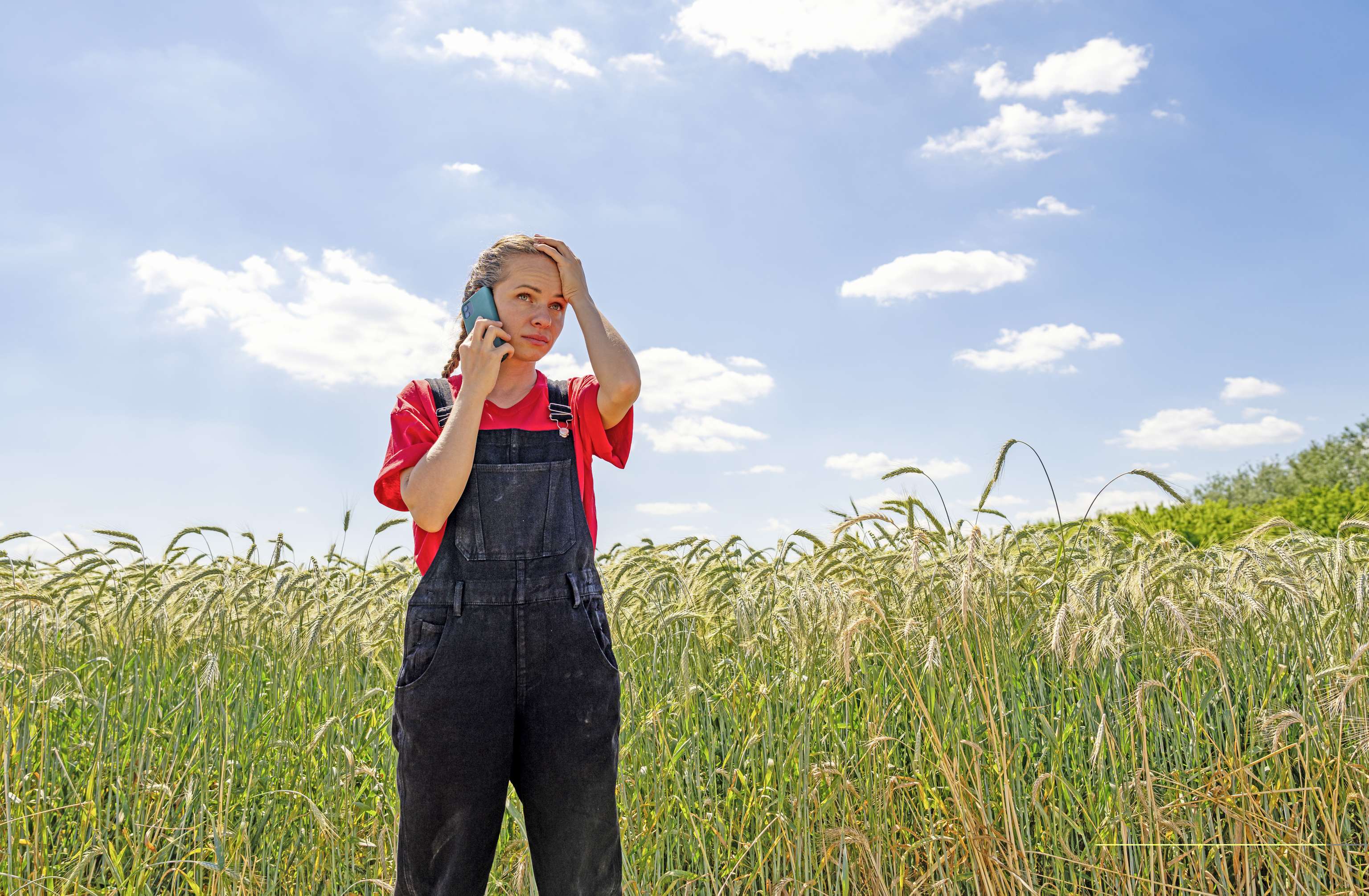 Frau ruft Sorgentelefon an