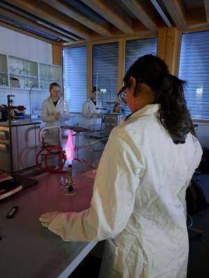 Laborpraxis HBLFA Tirol