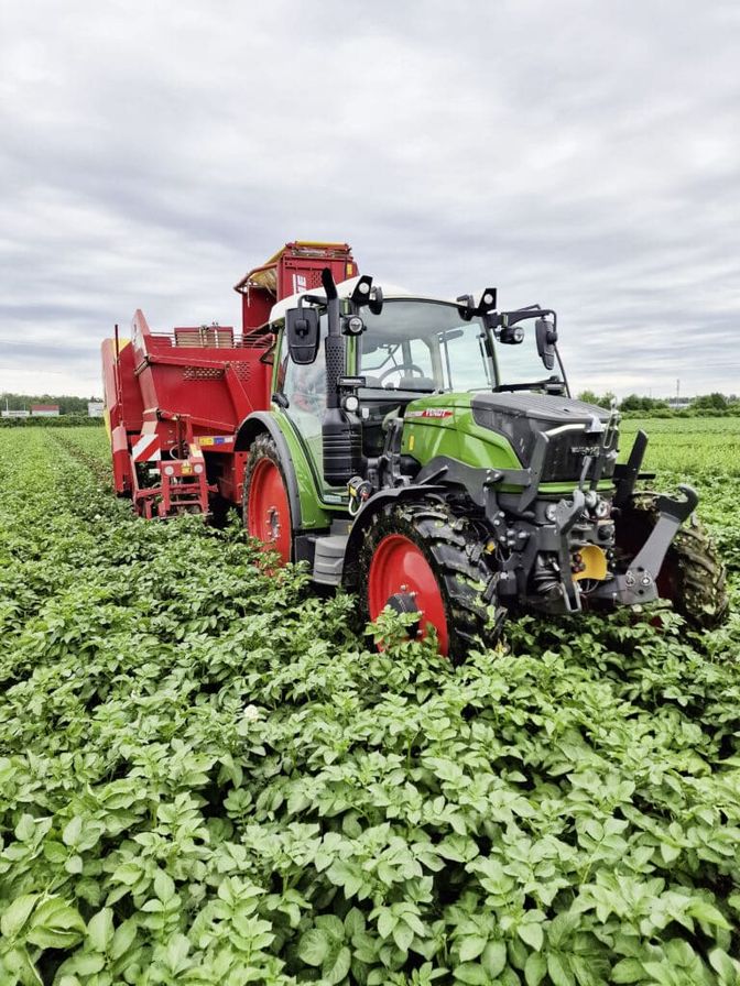 Kartoffelernte im Grazer Feld. Alle ihre Erdäpfel vermarktet Familie Rath direkt.
