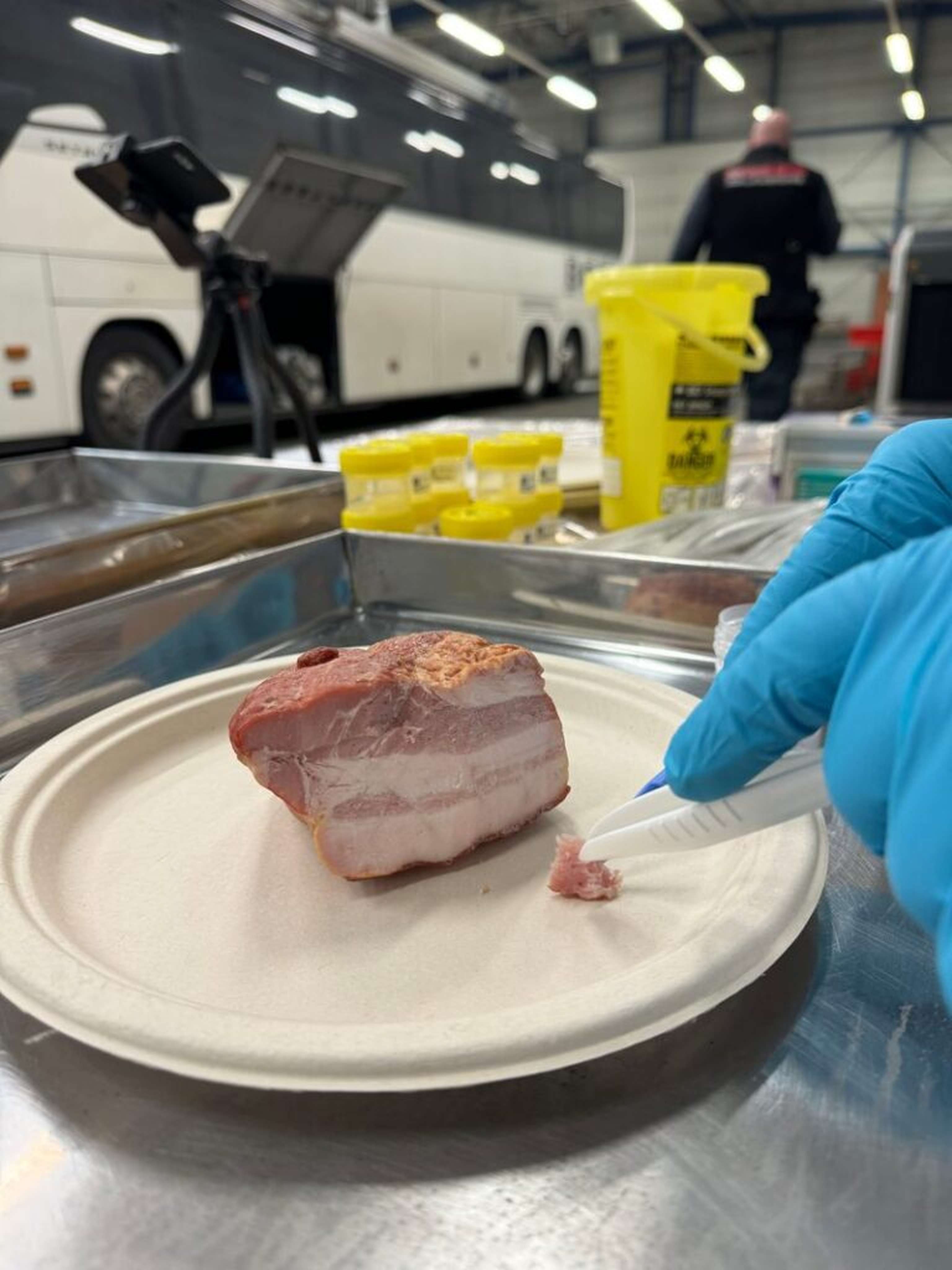 Das ASP-Virus ist höchst widerstandsfähig. Auch über Fleisch, Speck und Würste kann es sich ausbreiten. Ages und Zoll haben im Reiseverkehr seit Jahresbeginn kontrolliert und mehr als 8 Tonnen Schweinefleischprodukte beschlagnahmt. Die ASP-Tests blieben bisher negativ.