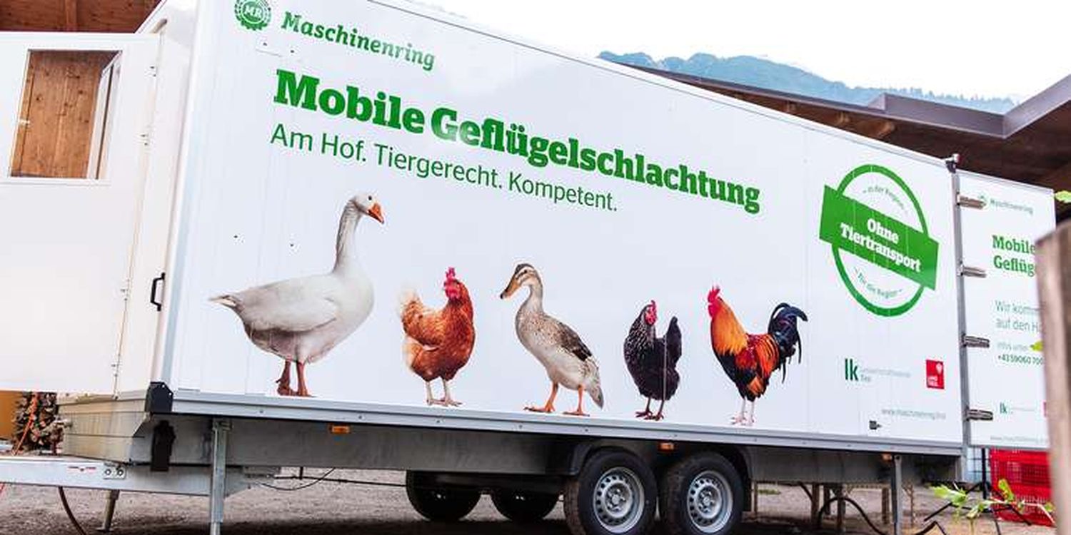 In Kärnten organisiert der Maschinenring für kleinere Betriebe Touren und Kettenschlachtungen.
