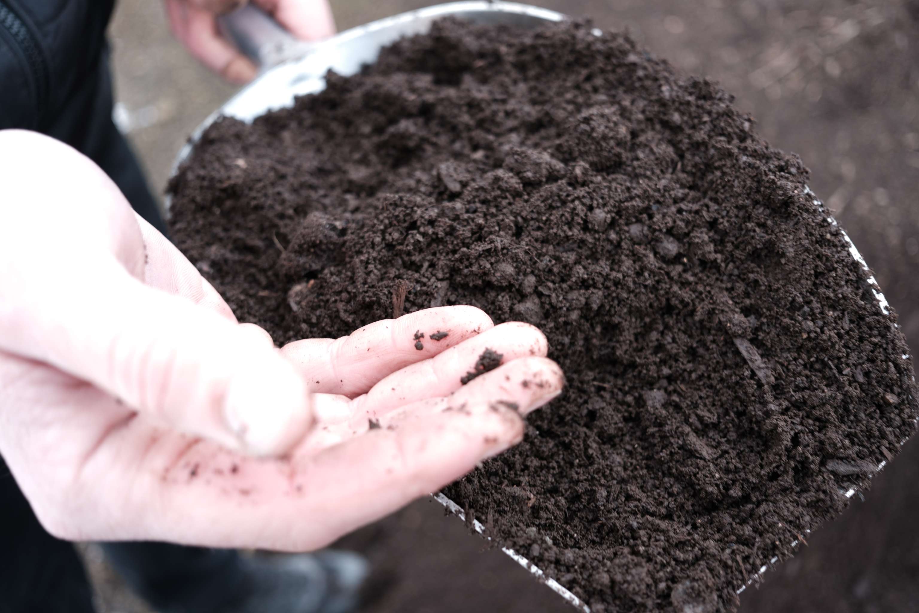 Kompost aus Mistmatte von Schweinen