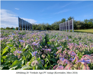 Vertikale Agri-PV-Anlage