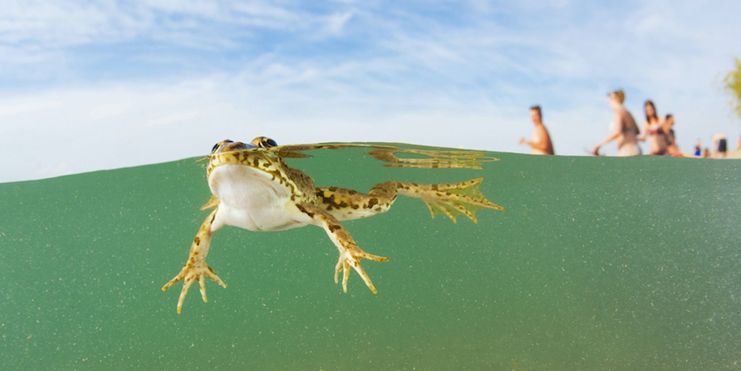 Staatspreis für vorbildliche Wasserprojekte: Der begehrte Neptun-Wasserpreis.
Foto:  Neptun Staatspreis für Wasser / Thomas Haider