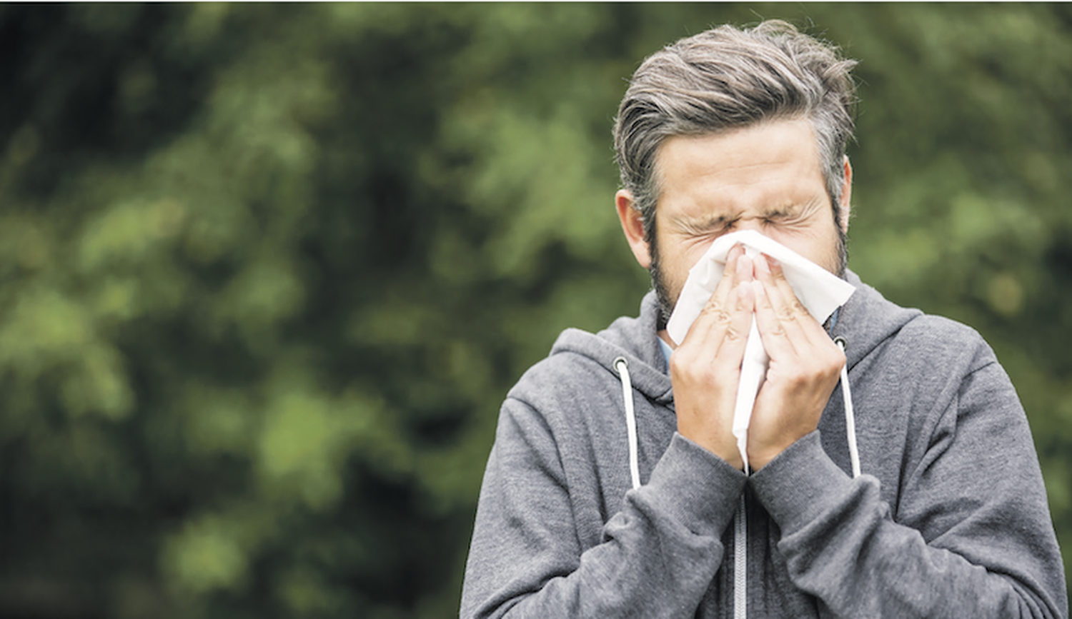 Pollen