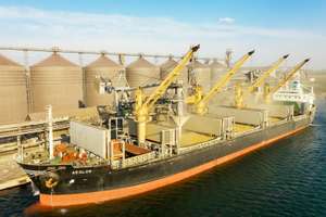 ODESSA, UKRAINE August 9, 2021: Loading Grain Into Holds Of Sea Cargo Vessel Through An Automatic Line In Seaport From Silos Of Grain Storage. Bunkering Of Dry Cargo Ship With Grain