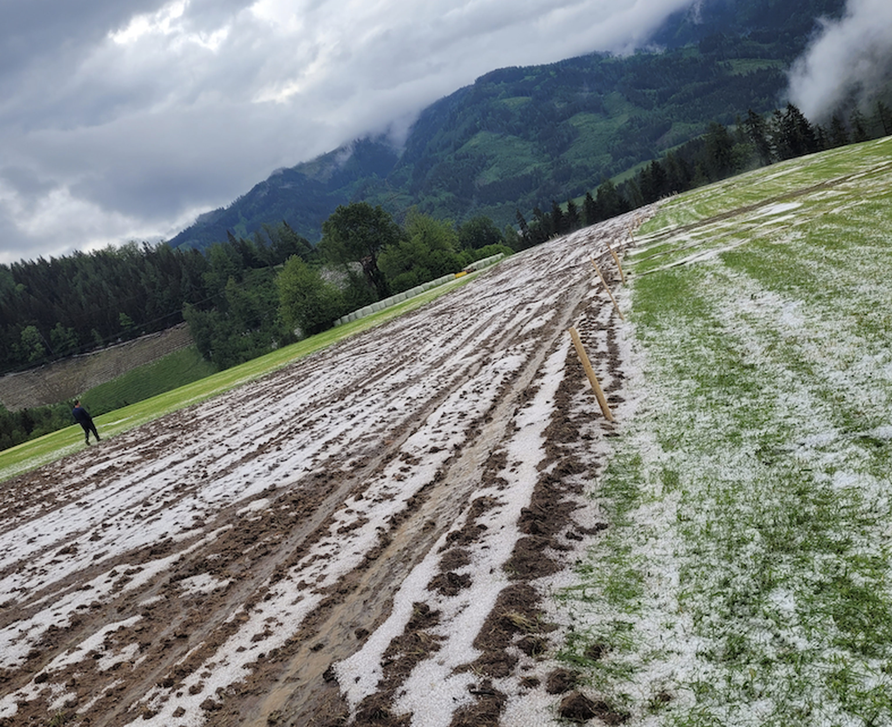 Hagel