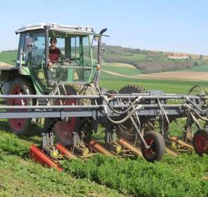 Erster Mulchdurchgang mit dem ZRM 1 in Zuckerrübe im heurigen Frühjahr. Die Begrünung mit Wicke kam gut über den Winter.
Die Zuckerrübe wurde direkt gesät. Das Gerät macht im Nachauflauf auf rein mechanische Weise „reinen Tisch“.