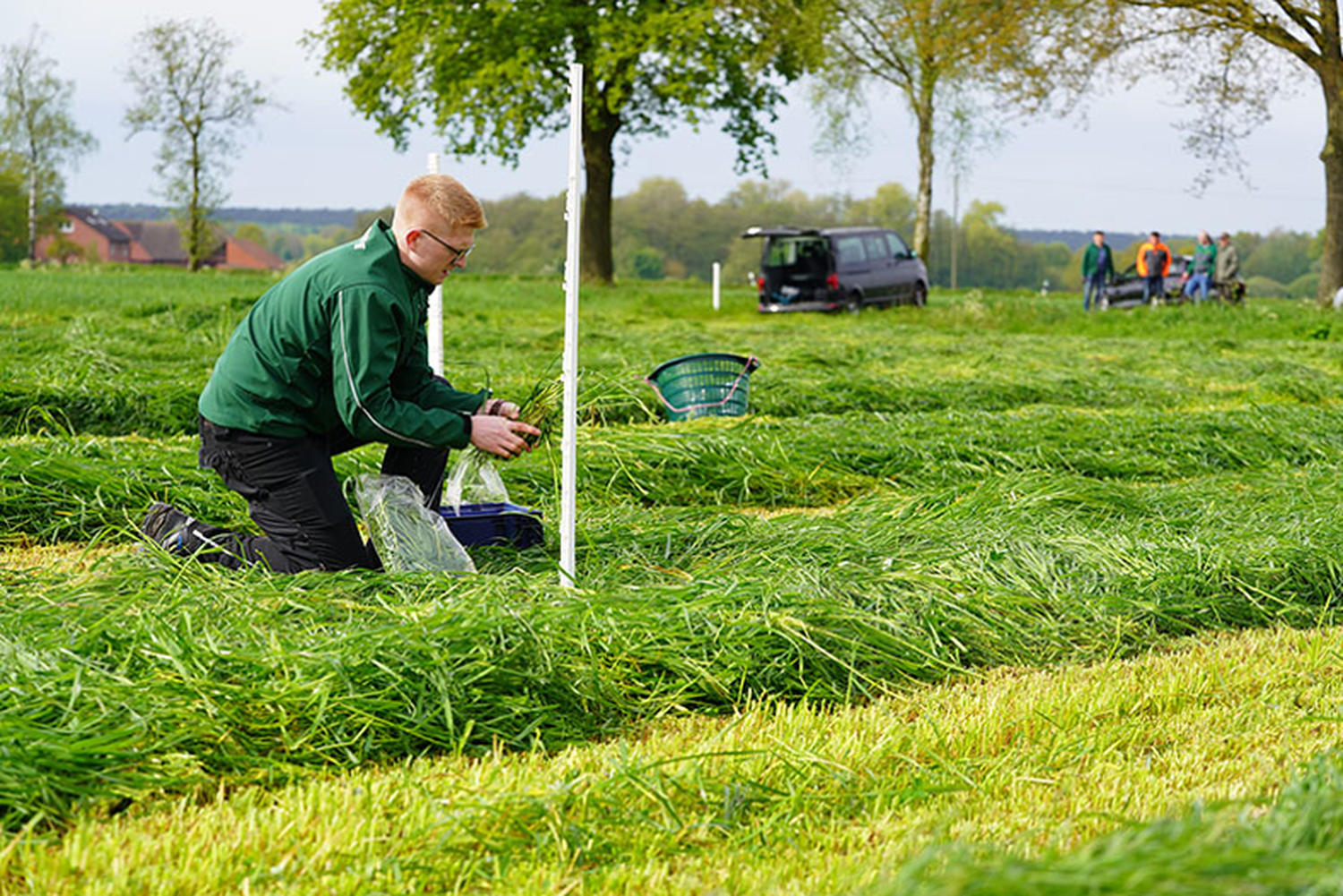 KSS Projekt 04 Probenahme Nach Dem Grasschnitt