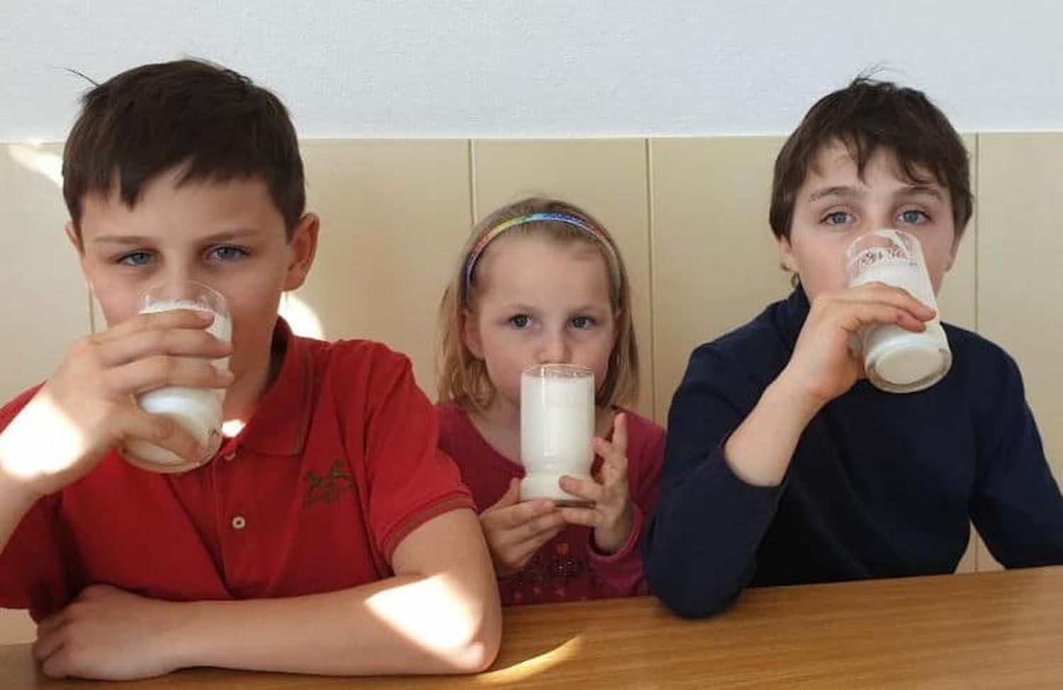 Milch, Butter und Käse haben vor dem Hintergrund der Coronakrise einen besonderen Stellenwert für die heimischen Konsumenten.
