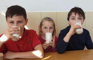 Weltmilchtag Web LKOOE