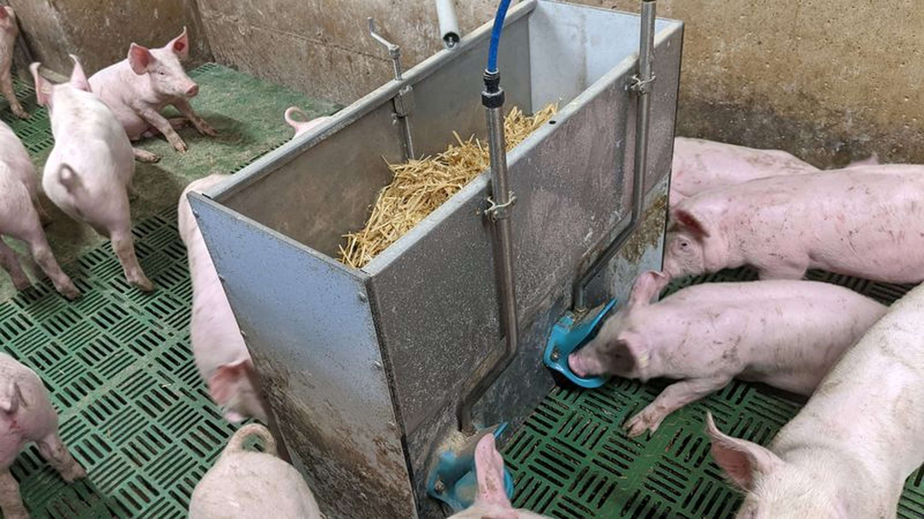 2350 06 Hagmueller02