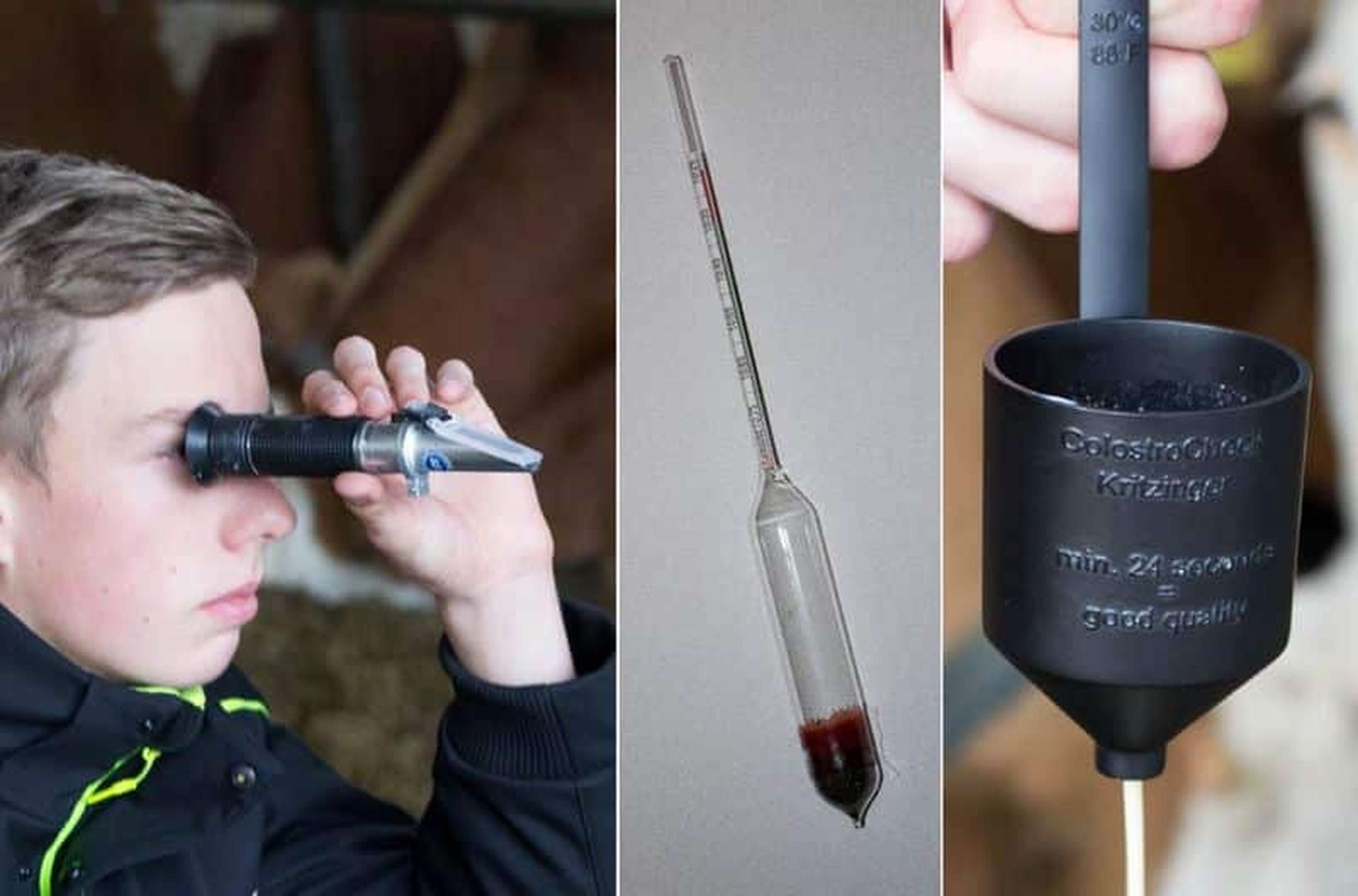 2445 W03 KolCheck Kritzinger Vetinfo